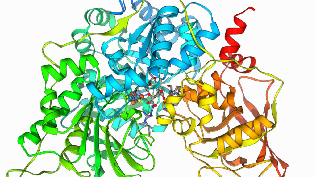 AI used to design a multi-step enzyme that can digest some plastics