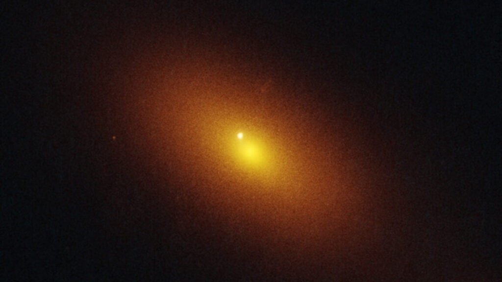 A star has been destroyed by a wandering supermassive black hole