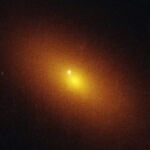 A star has been destroyed by a wandering supermassive black hole