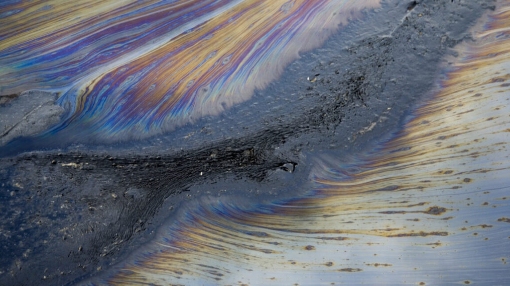 Genetic-engineered bacteria break down industrial contaminants
