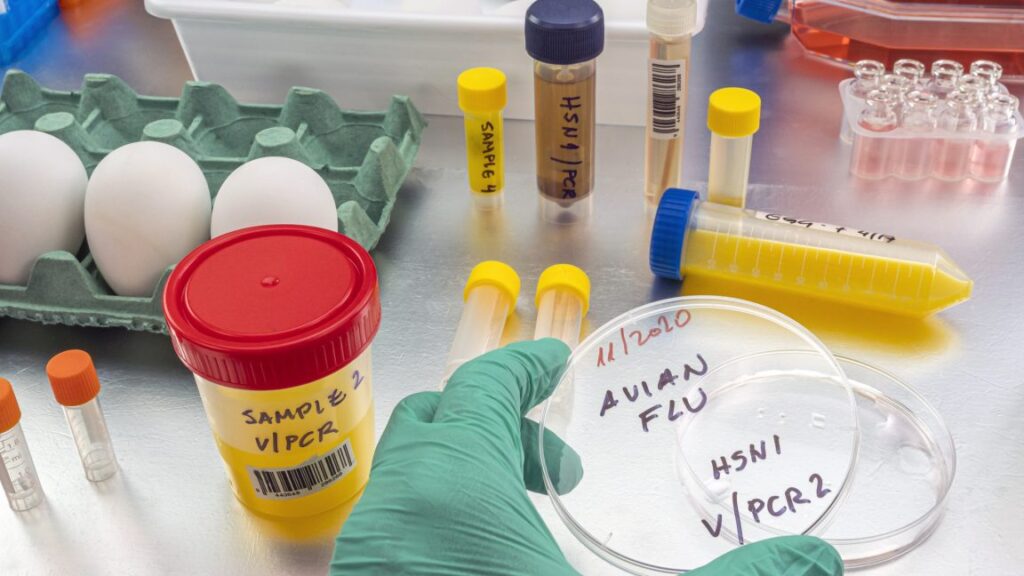 RFK Jr. yanks pandemic vaccine funding as Moderna reports positive results
