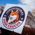 Judge lets four more DOGE employees access US Treasury payment systems
