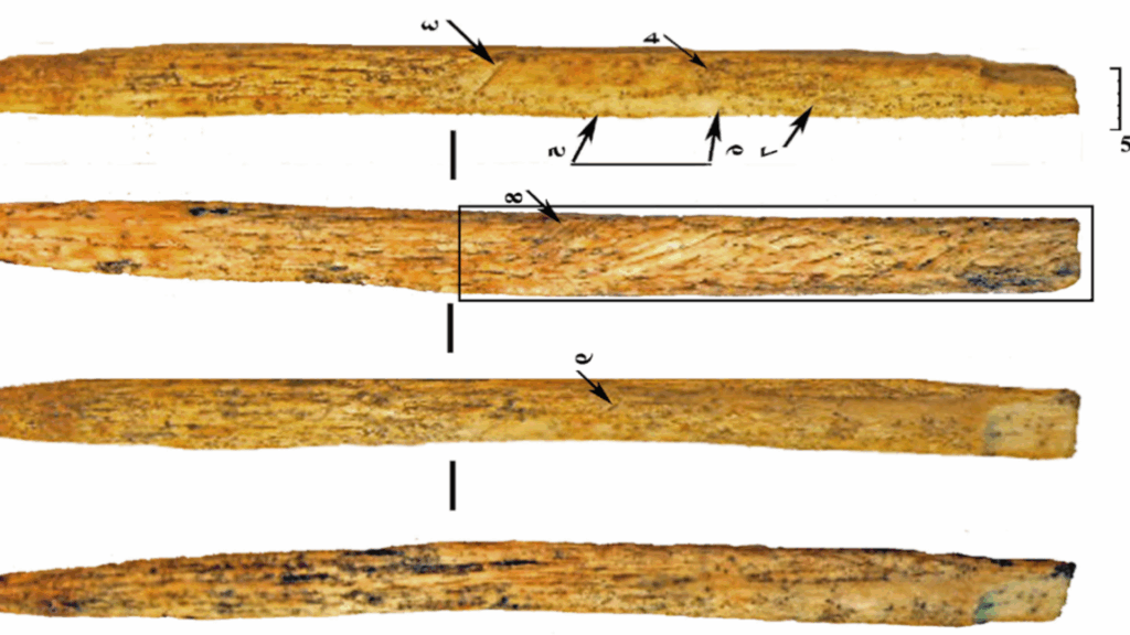 Neanderthals invented their own bone weapon technology by 80,000 years ago