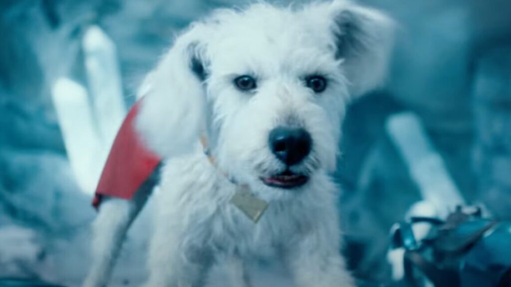 Krypto steals the show (again) in Superman trailer