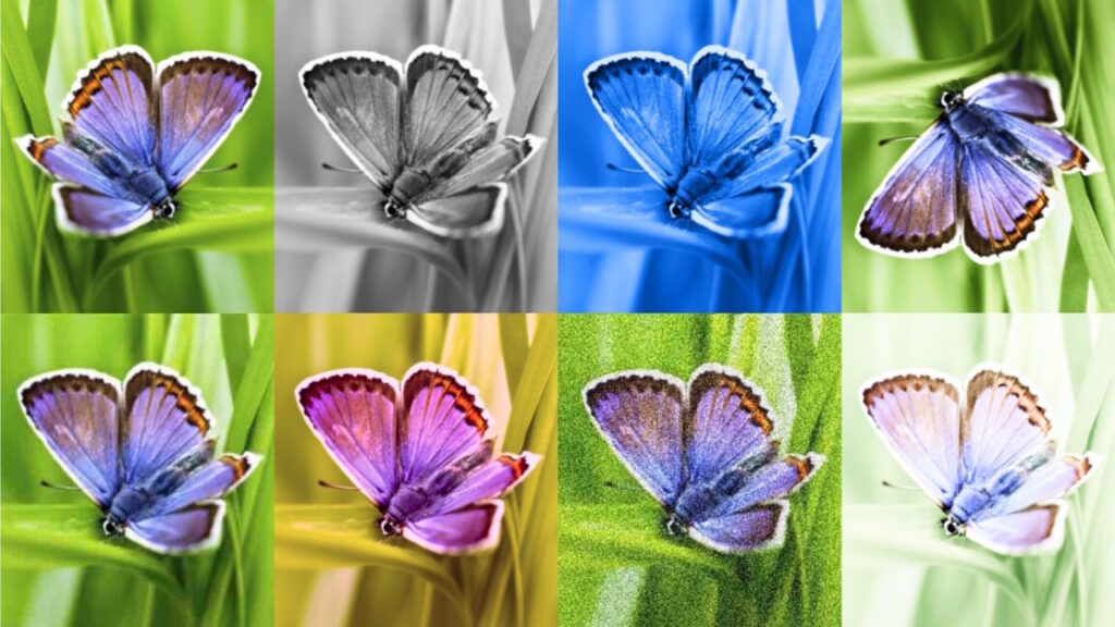 New portal calls out AI content with Google’s watermark