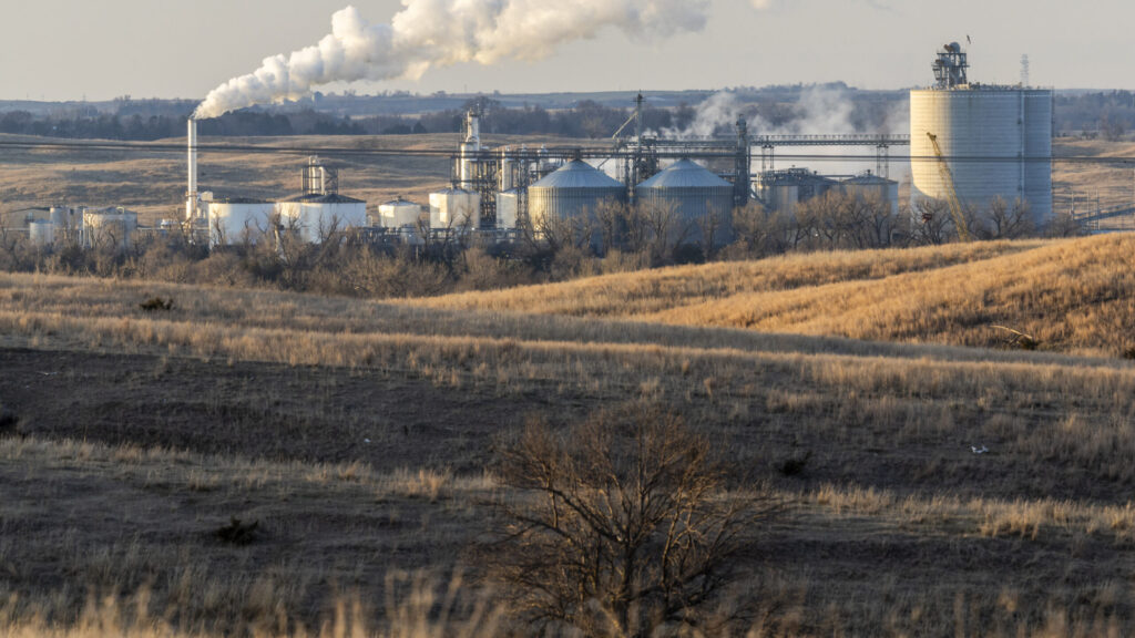 Biofuels policy has been a failure for the climate, new report claims