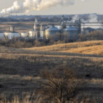 Biofuels policy has been a failure for the climate, new report claims