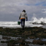 Ocean acidification crosses “planetary boundaries”